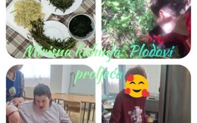 Mirisna kuhinja : Plodovi proljeća